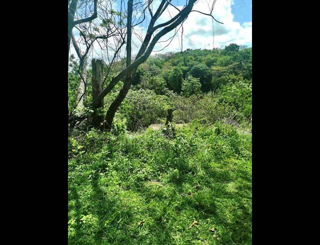 LAND FOR SALE IN DOON HEIGHTS